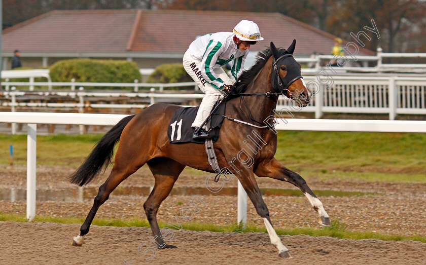 Far-Rockaway-0001 
 FAR ROCKAWAY (Tom Marquand)
Chelmsford 25 Nov 2019 - Pic Steven Cargill / Racingfotos.com