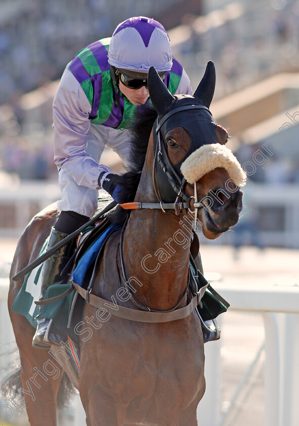 Hillcrest-Fire-0002 
 HILLCREST FIRE (Joshua Moore) Cheltenham 19 Apr 2018 - Pic Steven Cargill / Racingfotos.com