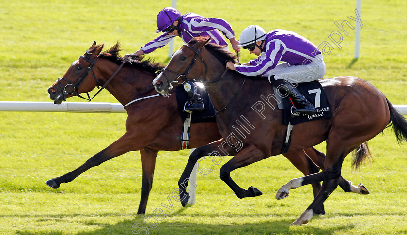 Happily-0005 
 HAPPILY (right, Donnacha O'Brien) beats MAGICAL (farside) in The Moyglare Stud Stakes Curragh 10 Sep 2017 - Pic Steven Cargill / Racingfotos.com