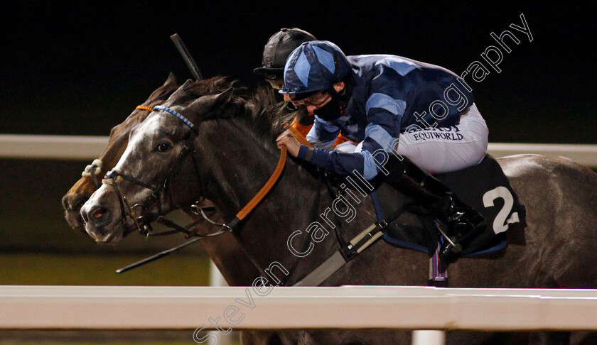 Cinzento-0002 
 CINZENTO (Jack Mitchell) wins The tote.co.uk Now Never Beaten By SP Classified Stakes
Chelmsford 14 Jan 2021 - Pic Steven Cargill / Racingfotos.com