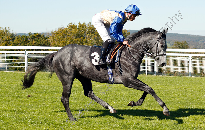 Edmond-Dantes-0001 
 EDMOND DANTES (Kieran Shoemark)
Goodwood 26 Sep 2018 - Pic Steven Cargill / Racingfotos.com