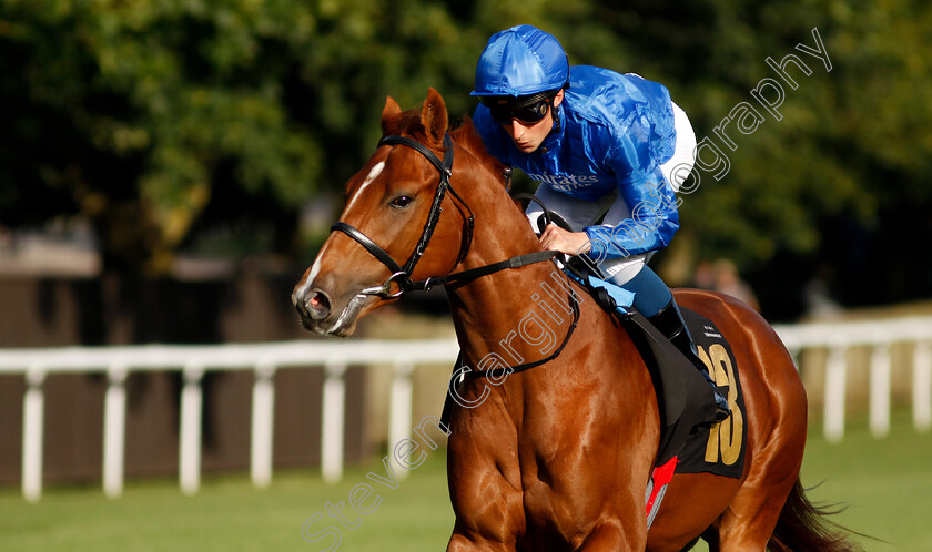 Watching-Stars-0003 
 WATCHING STARS (William Buick)
Newmarket 9 Aug 2024 - Pic Steven Cargill / Racingfotos.com