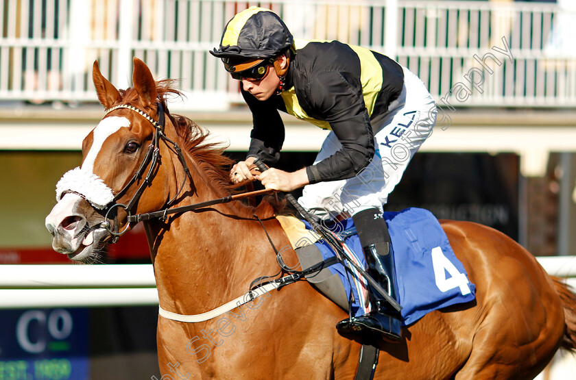 Whimsy-0007 
 WHIMSY (Jason Watson) wins The Kevin Hall & Pat Boakes Memorial Handicap
Salisbury 11 Aug 2022 - Pic Steven Cargill / Racingfotos.com