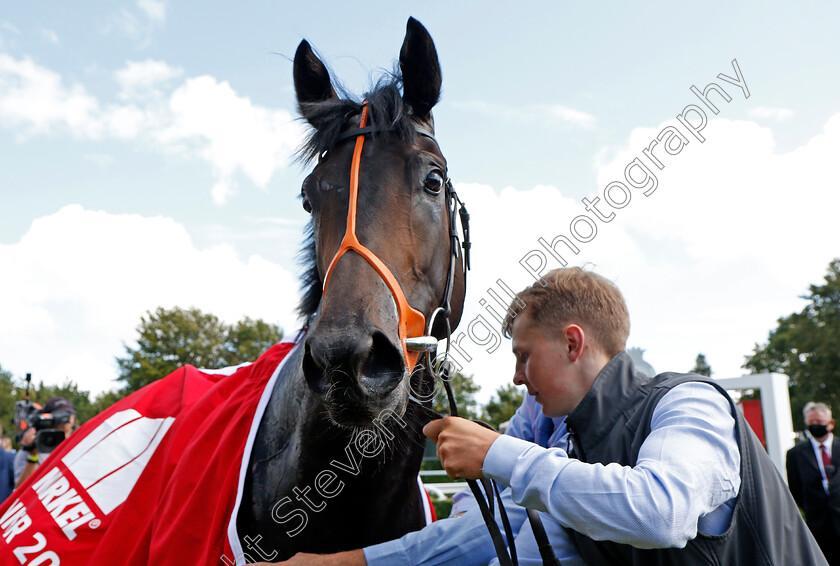 Armor-0010 
 ARMOR after The Markel Molecomb Stakes
Goodwood 28 Jul 2021 - Pic Steven Cargill / Racingfotos.com