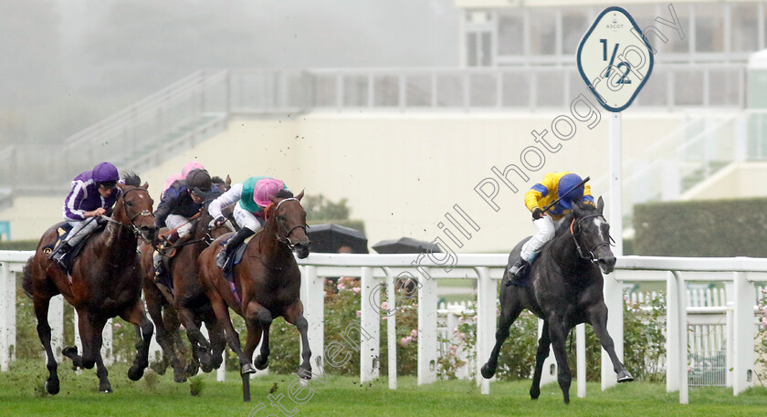 Calla-Lagoon-0005 
 CALLA LAGOON (centre, James Doyle) beats SEAPLANE (right) in The Charbonnel Et Walker British EBF Maiden Stakes
Ascot 6 Sep 2024 - Pic Steven Cargill / Racingfotos.com