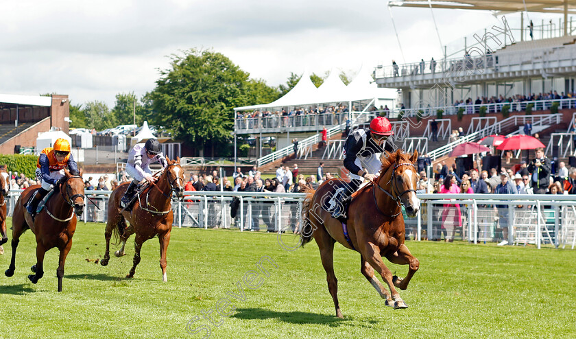 Montassib-0002 
 MONTASSIB (Tom Marquand) wins The William Hill Pick Your Places Handicap
Goodwood 20 May 2022 - Pic Steven Cargill / Racingfotos.com