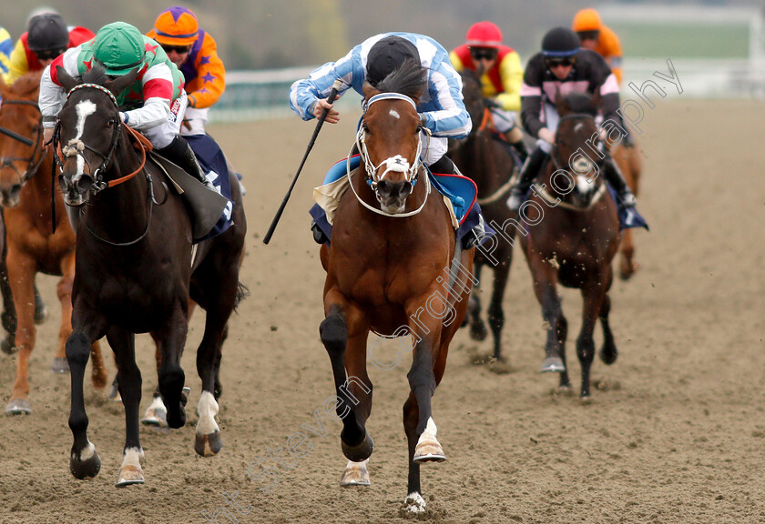 Sotomayor-0005 
 SOTOMAYOR (right, Tom Marquand) beats THE JEAN GENIE (left) in The Betway Handicap
Lingfield 23 Mar 2019 - Pic Steven Cargill / Racingfotos.com