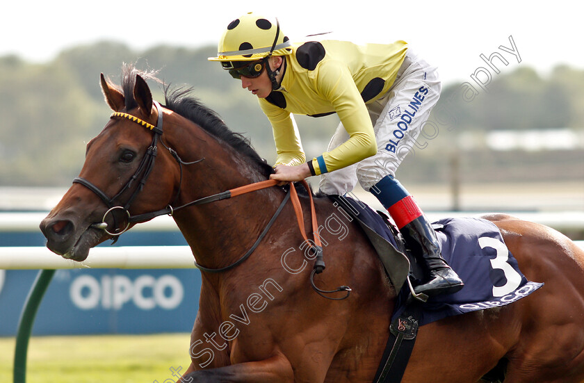 UAE-Jewel-0006 
 UAE JEWEL (David Egan) wins The Lightning Spear Newmarket Stakes
Newmarket 4 May 2019 - Pic Steven Cargill / Racingfotos.com