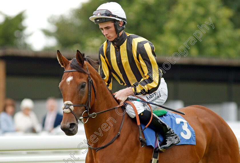 Domaine-Des-Combes-0001 
 DOMAINE DES COMBES (Rossa Ryan)
Salisbury 16 Jun 2024 - Pic Steven Cargill / Racingfotos.com