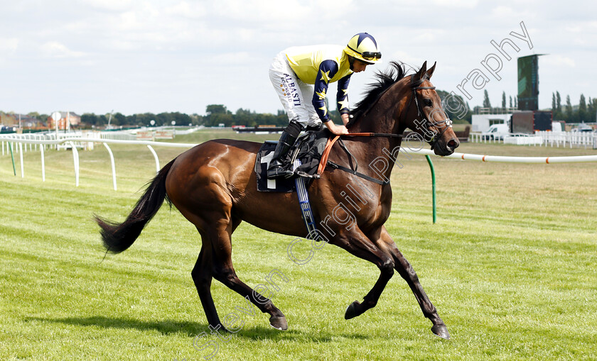 Saroog-0001 
 SAROOG (Ryan Moore)
Newbury 17 Aug 2018 - Pic Steven Cargill / Racingfotos.com