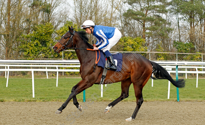 Queen-Of-Zafeen-0001 
 QUEEN OF ZAFEEN (William Buick)
Lingfield 7 Mar 2024 - Pic Steven Cargill / Racingfotos.com