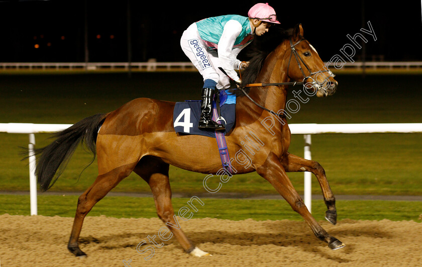 Clerisy-0003 
 CLERISY (David Probert)
Wolverhampton 10 Dec 2018 - Pic Steven Cargill / Racingfotos.com