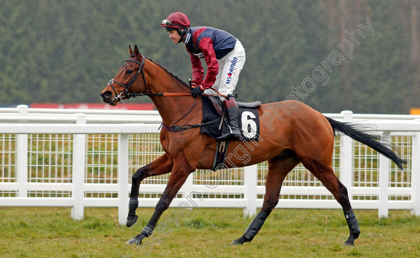 Hardness-0001 
 HARDNESS (Richard Johnson) Newbury 10 Feb 2018 - Pic Steven Cargill / Racingfotos.com