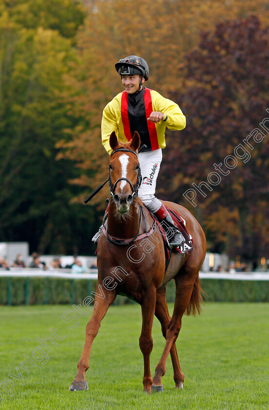 Torquator-Tasso-0017 
 TORQUATOR TASSO (Rene Piechulek) after The Qatar Prix de l'Arc de Triomphe
Longchamp 3 Oct 2021 - Pic Steven Cargill / Racingfotos.com