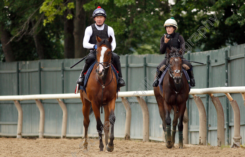 Call-To-Mind-0001 
 CALL TO MIND out on track at Belmont Park in preparation for The Belmont Gold Cup
Belmont Park USA 7 Jun 2018 - Pic Steven Cargill / Racingfotos.com