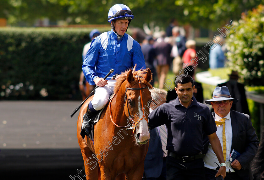 Ehraz-0008 
 EHRAZ (Jim Crowley) after The Anders Foundation British EBF Crocker Bulteel Maiden Stakes
Ascot 23 Jul 2021 - Pic Steven Cargill / Racingfotos.com