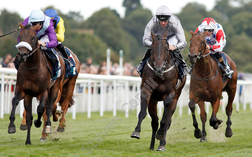 Commanding-Officer-0004 
 COMMANDING OFFICER (Daniel Tudhope) beats INDOMITABLE (left) in The British Stallion Studs EBF Convivial Maiden Stakes
York 24 Aug 2018 - Pic Steven Cargill / Racingfotos.com