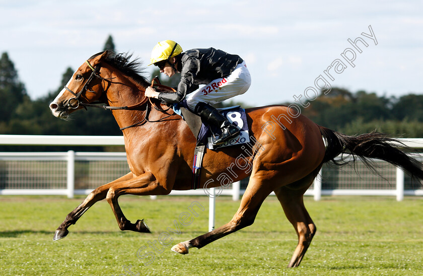 Akbar-Shah-0006 
 AKBAR SHAH (Jamie Spencer) wins The Sodexo Handicap
Ascot 7 Sep 2018 - Pic Steven Cargill / Racingfotos.com