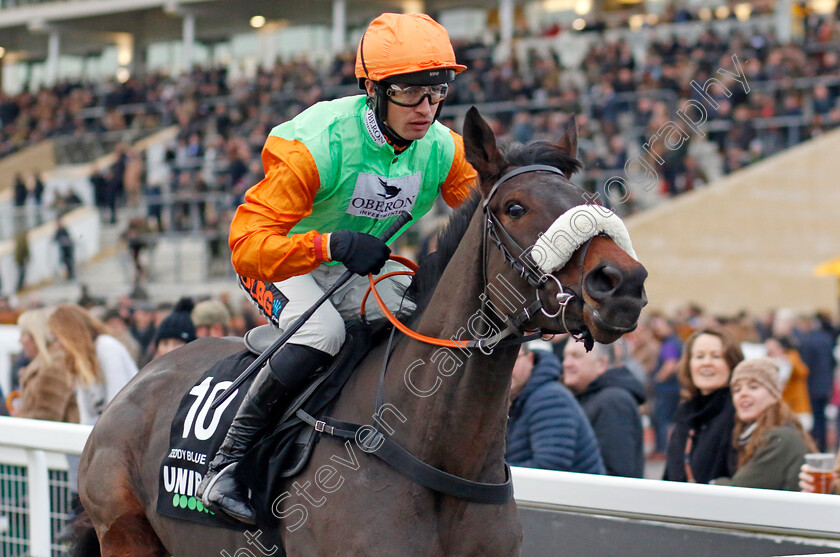 Teddy-Blue-0001 
 TEDDY BLUE (Paul O'Brien)
Cheltenham 17 Nov 2024 - Pic Steven Cargill / Racingfotos.com