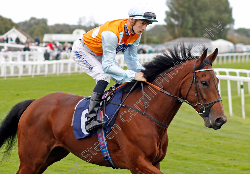 Larkhill-0001 
 LARKHILL (Harry Davies)
Yarmouth 16 Oct 2023 - Pic Steven Cargill / Racingfotos.com