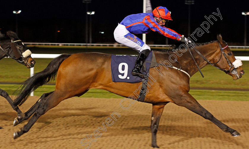 Little-Red-Socks-0004 
 LITTLE RED SOCKS (Harrison Shaw) wins The Get Your Ladbrokes Daily Odds Boost Fillies Handicap
Wolverhampton 11 Jan 2021 - Pic Steven Cargill / Racingfotos.com