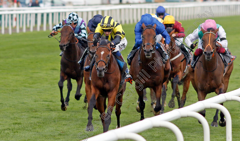 Eldar-Eldarov-0009 
 ELDAR ELDAROV (David Egan) wins The Cazoo St Leger Stakes
Doncaster 11 Sep 2022 - Pic Steven Cargill / Racingfotos.com