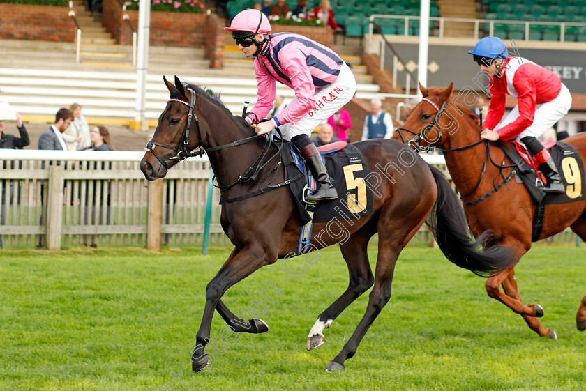 Glowing-Sky-0001 
 GLOWING SKY (Robert Havlin)
Newmarket 29 Oct 2022 - Pic Steven Cargill / Racingfotos.com