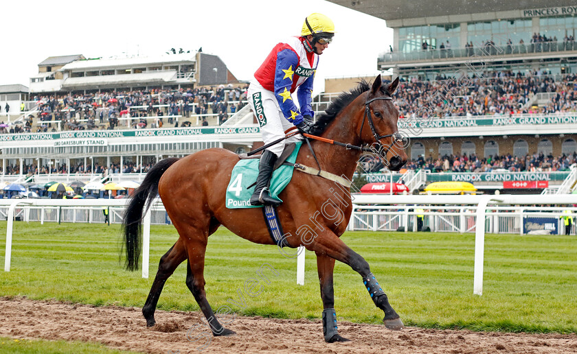 Hansard-0001 
 HANSARD (Jamie Moore)
Aintree 14 Apr 2023 - Pic Steven Cargill / Racingfotos.com