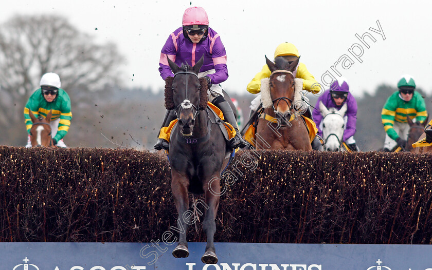 Cobolobo-0001 
 COBOLOBO (Jonjo O'Neill jr) 
Ascot 20 Feb 2021 - Pic Steven Cargill / Racingfotos.com