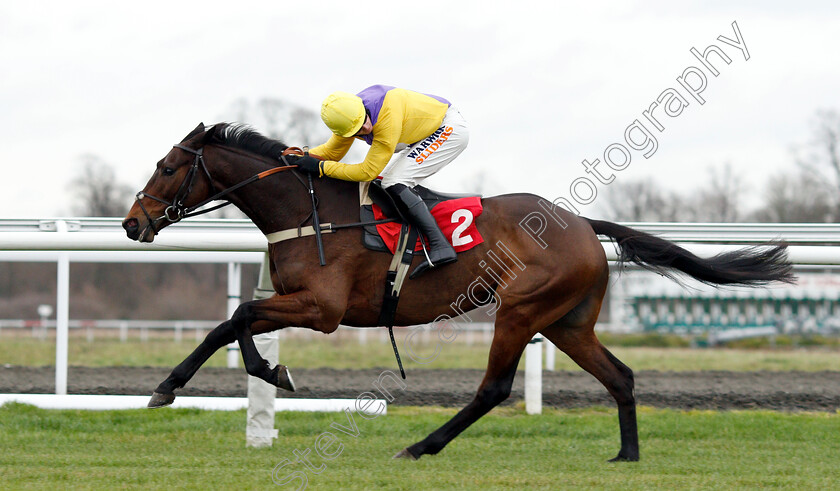 Mercian-Prince-0005 
 MERCIAN PRINCE (Jack Quinlan) wins The Unibet Download The App Handicap Chase
Kempton 12 Jan 2019 - Pic Steven Cargill / Racingfotos.com