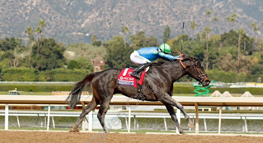 Goodnight-Olive-0001 
 GOODNIGHT OLIVE (Irad Ortiz) wins The Breeders' Cup Filly & Mare Sprint
Santa Anita 4 Nov 2023 - Pic Steven Cargill / Racingfotos.com