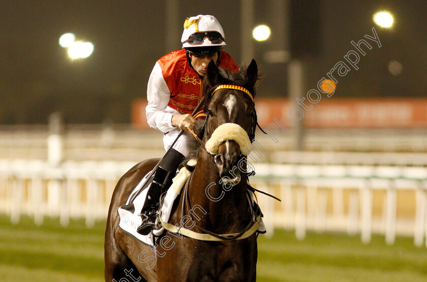 Prince-Elzaam-0001 
 PRINCE ELZAAM (Dane O'Neill)
Meydan 10 Jan 2019 - Pic Steven Cargill / Racingfotos.com