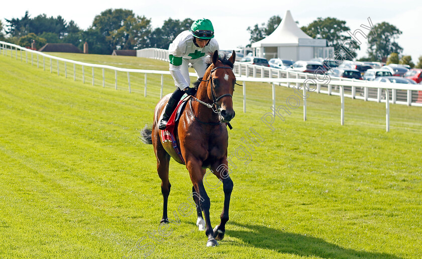 Mortlake-0001 
 MORTLAKE (Rossa Ryan)
Sandown 2 Sep 2023 - Pic Steven Cargill / Racingfotos.com