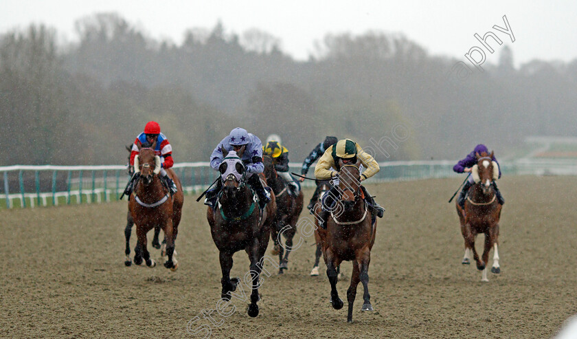 Restless-Endeavour-0001 
 RESTLESS ENDEAVOUR (right, Jack Mitchell) beats SHINING (left) in The Betway Handicap
Lingfield 26 Mar 2021 - Pic Steven Cargill / Racingfotos.com