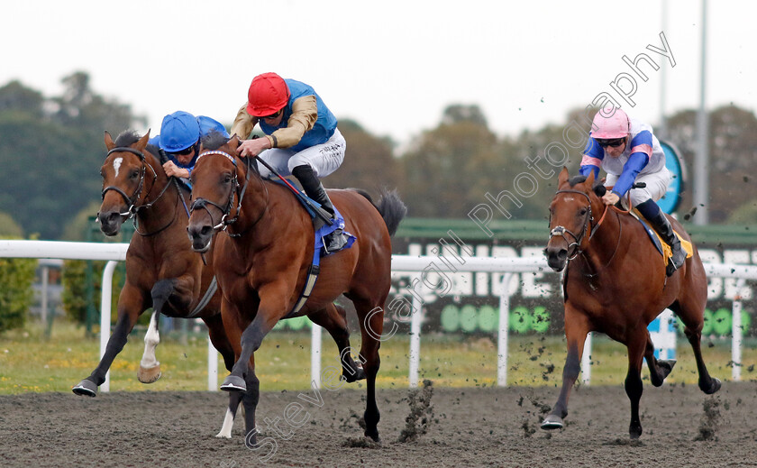 Dunamase-0005 
 DUNAMASE (James Doyle) beats MASUBI (left) and PRINCE OF THE SEAS (right) in The Unitbet British Stallion Studs EBF Novice Stakes
Kempton 28 Aug 2024 - Pic Steven Cargill / Racingfotos.com