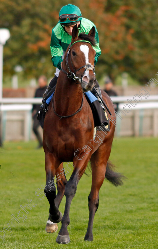 Sir-Laurence-Graff-0001 
 SIR LAURENCE GRAFF (Ryan Moore)
Newmarket 19 Oct 2022 - Pic Steven Cargill / Racingfotos.com