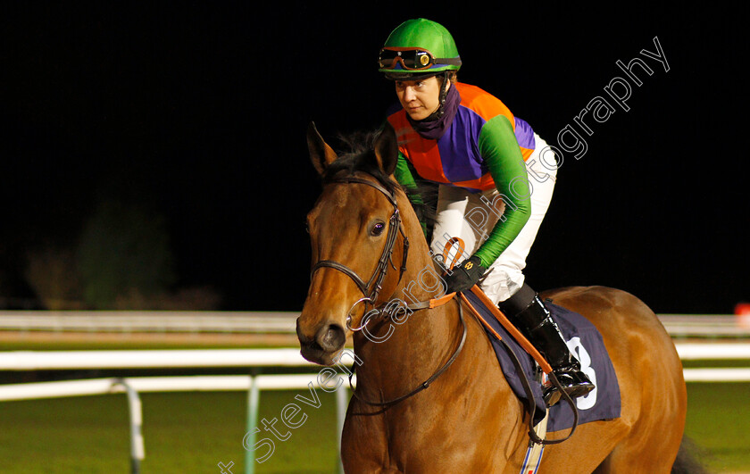 Sur-Mer-0001 
 SUR MER (Hayley Turner)
Southwell 15 Jan 2020 - Pic Steven Cargill / Racingfotos.com