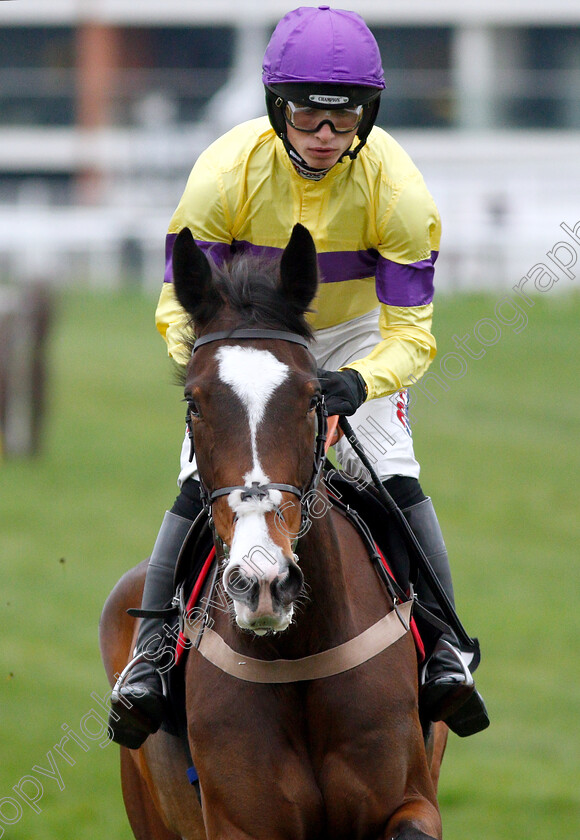 Eason-0002 
 EASON (Harry Cobden)
Newbury 22 Mar 2019 - Pic Steven Cargill / Racingfotos.com