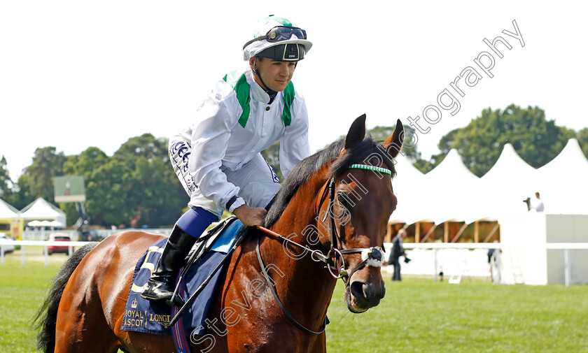 Green-Team 
 GREEN TEAM (Marco Ghiani)
Royal Ascot 15 Jun 2022 - Pic Steven Cargill / Racingfotos.com