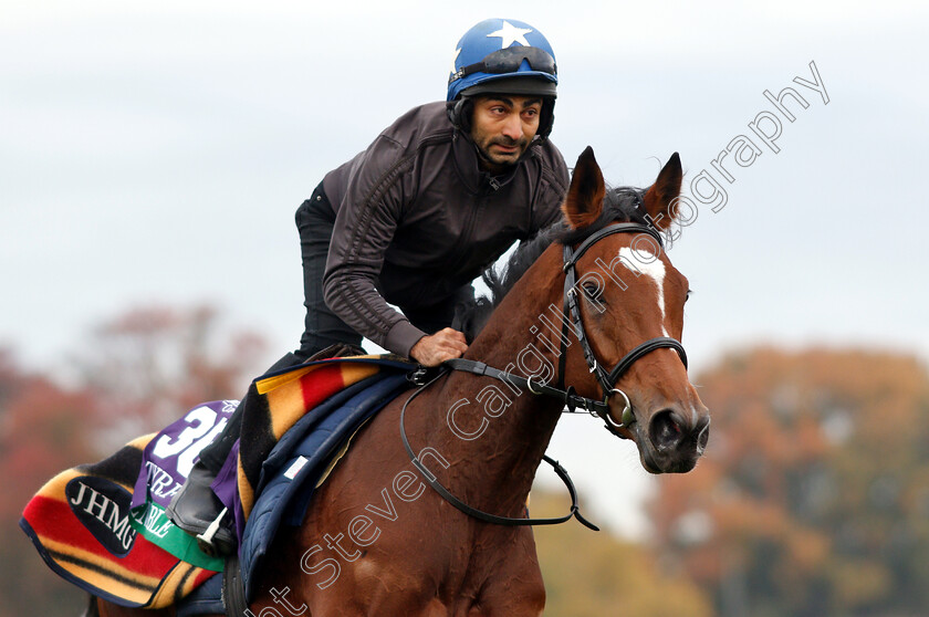 Enable-0013 
 ENABLE exercising ahead of the Breeders' Cup Turf
Churchill Downs 30 Oct 2018 - Pic Steven Cargill / Racingfotos.com