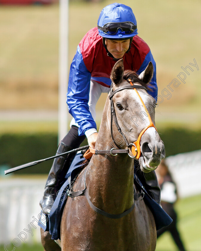 Bet-Me-0001 
 BET ME (Pat Dobbs)
Goodwood 27 Aug 2022 - Pic Steven Cargill / Racingfotos.com