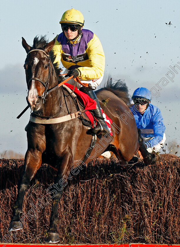 Kalashnikov-0001 
 KALASHNIKOV (Jack Quinlan)
Newbury 29 Nov 2019 - Pic Steven Cargill / Racingfotos.com