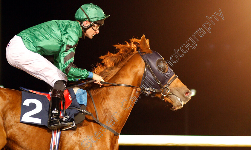 Petit-Palais-0006 
 PETIT PALAIS (Robert Havlin) wins The Hellermanntyton Cable Installation Median Auction Maiden Stakes
Wolverhampton 5 Sep 2018 - Pic Steven Cargill / Racingfotos.com