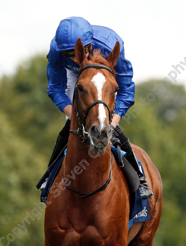 Masar-0002 
 MASAR (James Doyle)
Newmarket 11 Jul 2019 - Pic Steven Cargill / Racingfotos.com