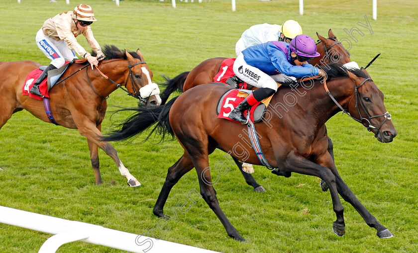 Dubai-Instinct-0005 
 DUBAI INSTINCT (Angus Villiers) wins The Betway Casino Handicap
Sandown 31 Aug 2019 - Pic Steven Cargill / Racingfotos.com