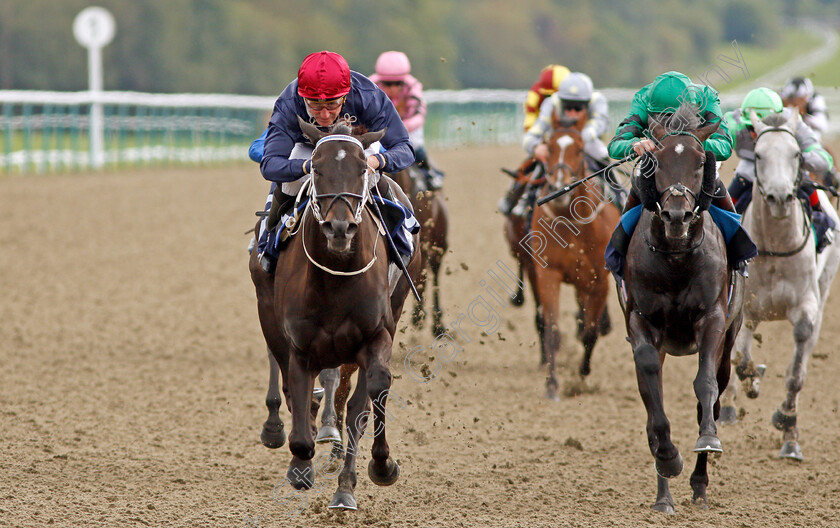 Reine-De-Vitesse-0006 
 REINE DE VITESSE (left, John Egan) beats SHERIFFMUIR (right) in The Starsports.bet Maiden Stakes
Lingfield 3 Oct 2019 - Pic Steven Cargill / Racingfotos.com