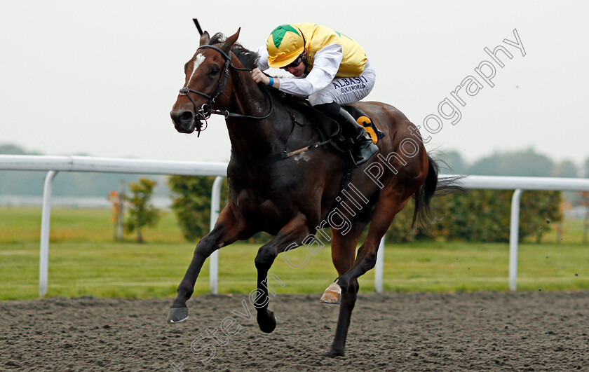 Pinnata-0001 
 PINNATA (Pat Cosgrave) Kempton 25 Sep 2017 - Pic Steven Cargill / Racingfotos.com