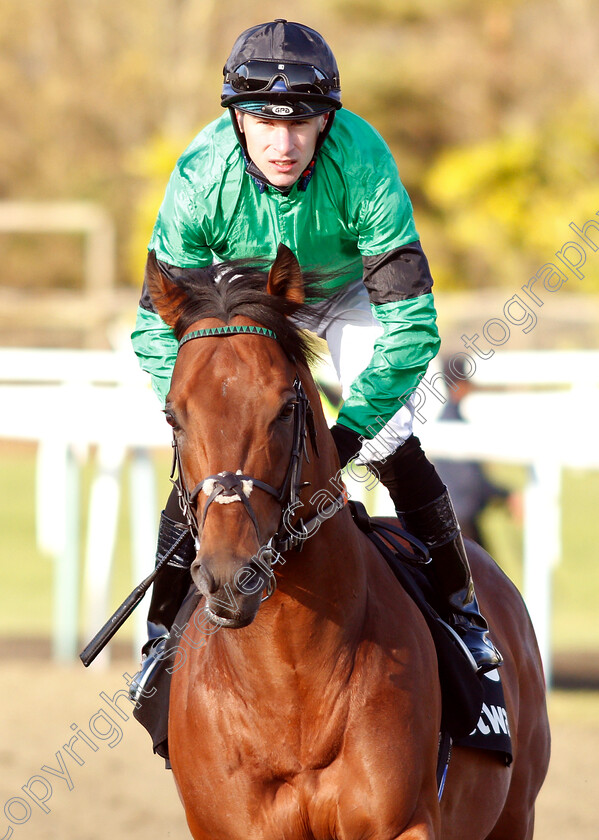 Kachy-0001 
 KACHY (Richard Kingscote) before winning The Betway Cleves Stakes
Lingfield 2 Feb 2019 - Pic Steven Cargill / Racingfotos.com