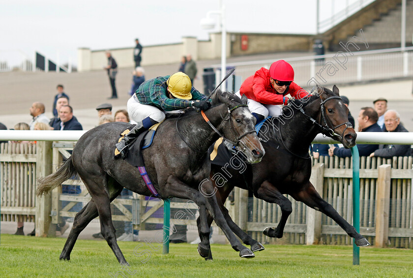 Shemozzle-0003 
 SHEMOZZLE (left, Hector Crouch) beats SO LOGICAL (right) in The racingtv.com Fillies Restricted Novice Stakes
Newmarket 25 Oct 2023 - Pic Steven Cargill / Racingfotos.com