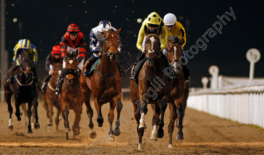 Noble-Expression-0005 
 NOBLE EXPRESSION (Jack Mitchell) wins The Weatherbys General Stud Book Online EBF Novice Stakes Chelmsford 23 Nov 2017 - Pic Steven Cargill / Racingfotos.com